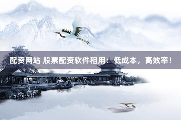 配资网站 股票配资软件租用：低成本，高效率！