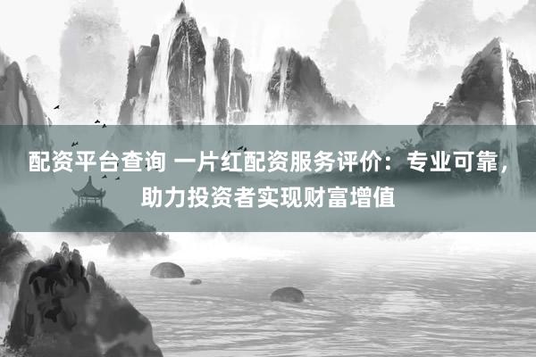 配资平台查询 一片红配资服务评价：专业可靠，助力投资者实现财富增值