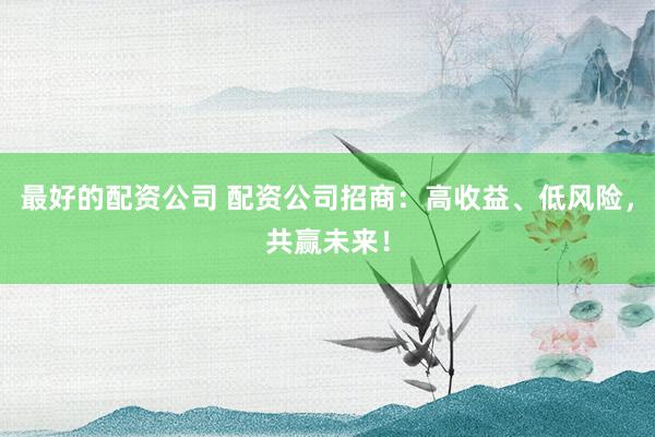 最好的配资公司 配资公司招商：高收益、低风险，共赢未来！