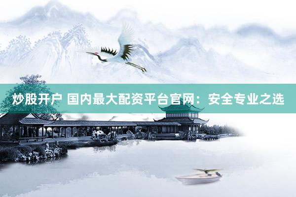 炒股开户 国内最大配资平台官网：安全专业之选