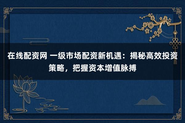 在线配资网 一级市场配资新机遇：揭秘高效投资策略，把握资本增值脉搏