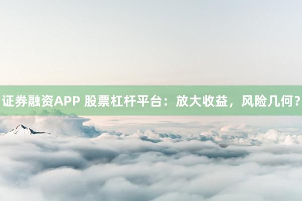 证券融资APP 股票杠杆平台:放大收益,风险几何?