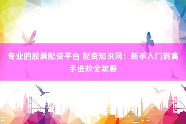 专业的股票配资平台 配资知识网：新手入门到高手进阶全攻略