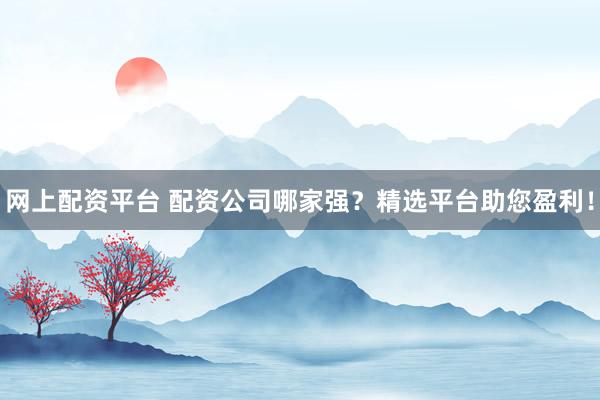 网上配资平台 配资公司哪家强?精选平台助您盈利!